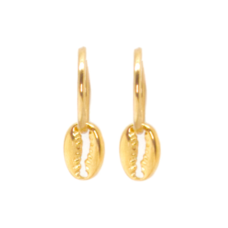 Gold puka shell earrings on small hoops.