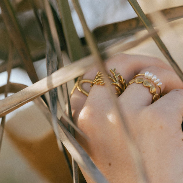 Shell Ring