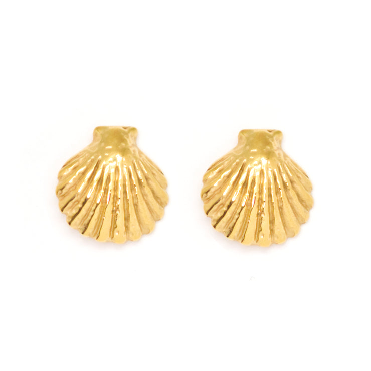 Shell shaped stud earrings