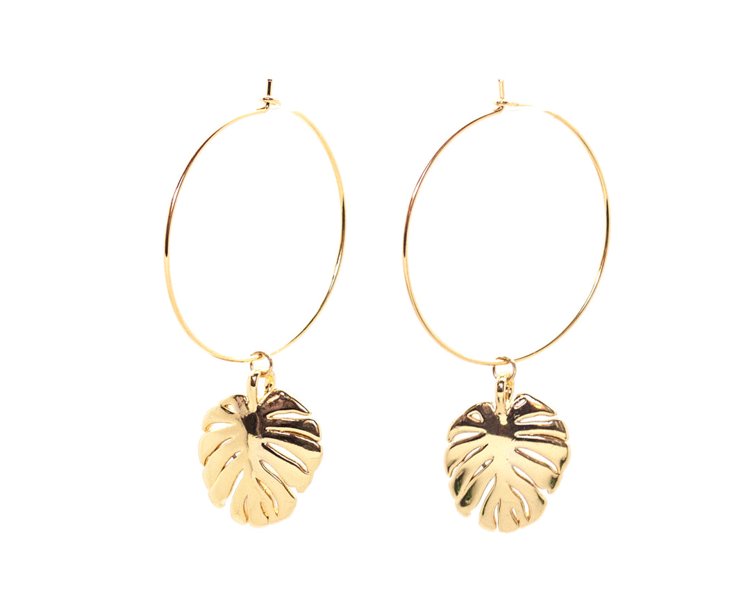Gold Hoops Mostera LeafSalty Cali Jewelry Stainless Steel Waterproof  Earrings – SaltyCali