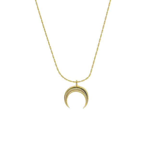 Gold dainty necklace with a gold horn pendant